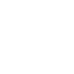 AIG logo